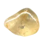 Citrin